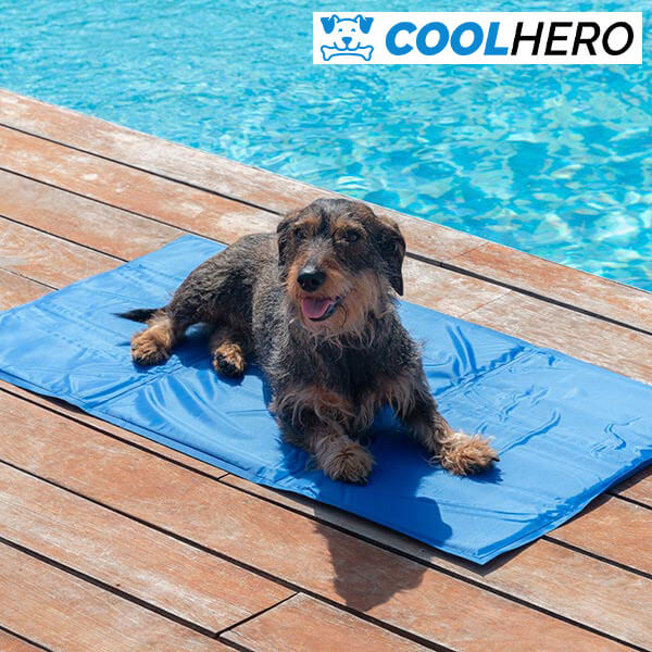 COOLHERO™ KÜHLMATTE FÜR HUNDE