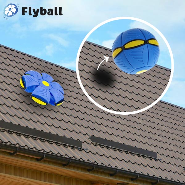FLYBALL™ – FRISBEE BALL  1 + 1 GRATIS